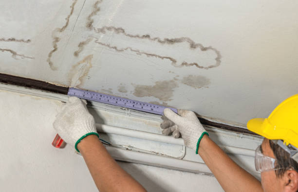 Reliable Water Damage contractor in Edinburg, VA by Water Damage Irwin